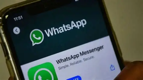 电脑玩转WhatsApp：不掏手机也能秒回消息