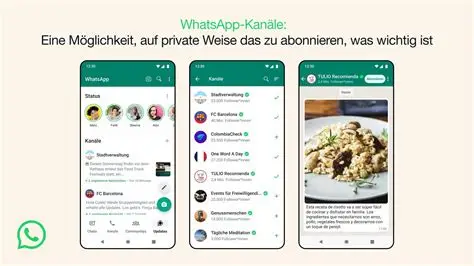 WhatsApp照片总存相册？3步关闭自动保存功能