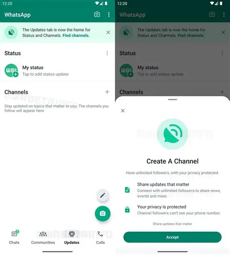 WhatsApp官网网页版安全使用指南 - 下载电脑版WhatsApp并保护隐私